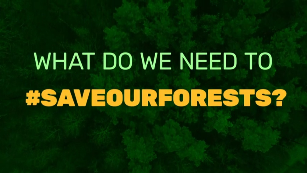 #Saveourforests?