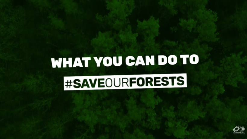 Saveourforests.png