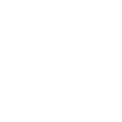 The Transnational Institute